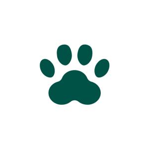 icon for pet friendly