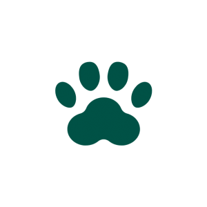 icon for pet friendly