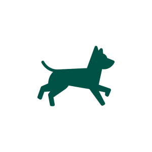 icon for pet run